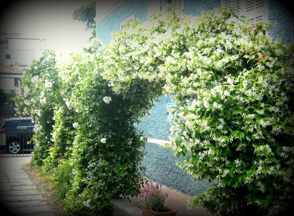 B&B Elisir Albenga Exterior photo